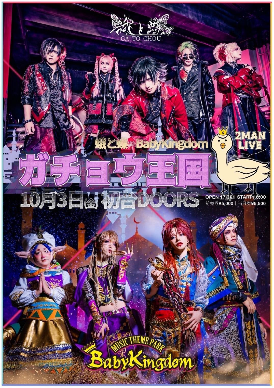 BabyKingdom CD パンフレットセット べびきん Babykingdom Official web site